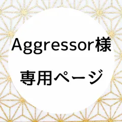 Aggressor様 専用ページ