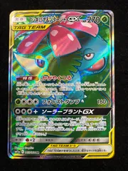 フシギバナ＆ツタージャGX 065/064 SR A213