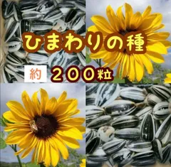 2026年最新】ひまわり の人気アイテム - メルカリ