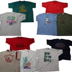 古着卸 まとめ売り シングル Tシャツ 10枚セット ( メンズ 2XL/3XL ) フルーツオブザルーム カレッジ風 アーチロゴ  中古 古着 NE3722
