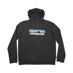 2026年最新】patagonia タイプ：プルオーバー メンズ パーカーの人気