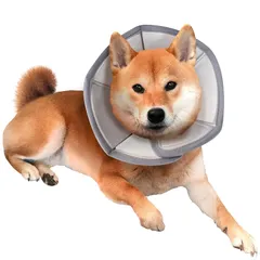 SKATT WORKS エリザベスカラー 犬 猫 去勢手術 傷舐め防止 傷口保護 軽量 やわらかい ソフト L 1のサムネイル