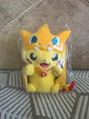 メガリザードン ポンチョ ピカチュウ ポケットモンスター ぬいぐるみ 出品