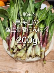 山形総本家 産直フルーツと天然山菜の直販 - メルカリShops