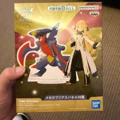 ポケットモンスター マスターズ EX 난천 フィギュア