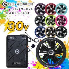 長信ジャパン　30V 2026年GB430ファンバッテリー　限定色　パープル① 長信ジャパン 30V 2026年GB430ファンバッテリー 限定色 パープル①