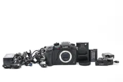 2026年最新】dc-gh5sの人気アイテム - メルカリ