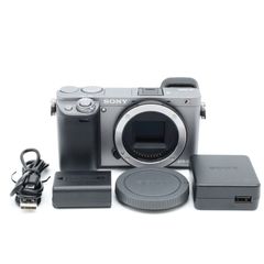 英語他多言語対応OK SONY α6000 silver ILCE-6000 - メルカリ