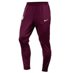 ナイキ パリ サンジェルマン パンツ