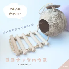 ココナッツハウス 小動物 ハムスター モモンガ 小鳥 巣箱 隠れ家 はしご付き ケージ用品 ナチュラル 天然素材 ペット用品のサムネイル