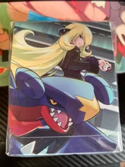 シロナ&ガブリアス デッキケース 未開封