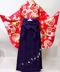 袴セット 卒業袴 裄70㎝ 袴99㎝ 中古 赤 紫 卒業式 高身長 H-227 
