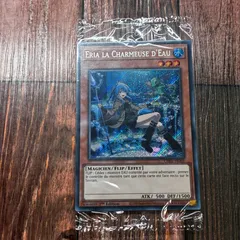 2026年最新】遊戯王 フランスの人気アイテム - メルカリ