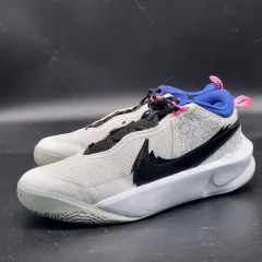 ナイキ チームハッスル D 10 バスケシューズ・バドミントンシューズ 250