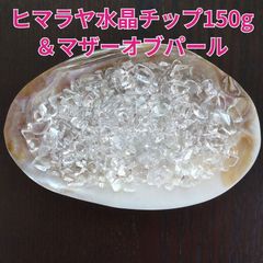 チャメロップス H1.7m ドライガーデン シルバーリーフ 送料込み価格