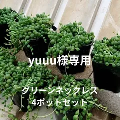 yuuu様専用ページ