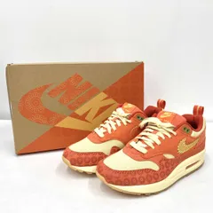 NIKE ナイキ AIR MAX 1 PRM スニーカー DZ5352-847  サイズ26cm