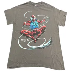 MARVEL マーベル HUF SPIDERMAN スパイダーマンＴシャツ コミックス キャラクター グレー(メンズ M)中古 古着 X8697