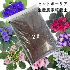 セントポーリア 専用培養土 2リットル 元肥入り 生産者が使用している培養土 園芸用土 観葉植物のサムネイル