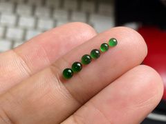 fu_a＊様ご依頼品 黄金スイートケイト苗 銅葉アルメリア苗 同梱 fu_a＊様ご依頼品 黄金スイートケイト苗 銅葉アルメリア苗 同梱 - メルカリ