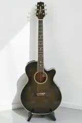 2026年最新】takamine pt-108の人気アイテム - メルカリ