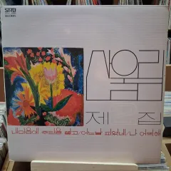 行こう 早い マウンテンユーリム ぼくの 2 家 LP CD