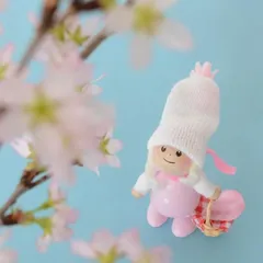 2026年最新】ノルディカニッセ 限定の人気アイテム - メルカリ