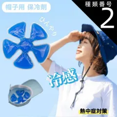 種類2：2個 帽子用 保冷剤 クールパッド アイスパッド 冷却シート ヘッドクーラー クールヘッド 暑さ対策 帽子 頭 冷やす 頭皮 冷却 キャップ クール ひんやり 熱中症対策 冷感 送料無料