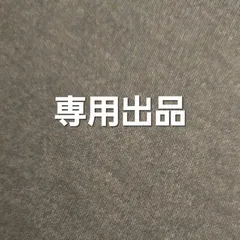 専用出品　Applepencil 純正 動作確認済み ペン先  1個 チップ tip 替え芯 替芯