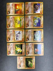 ポケットモンスター 旧裏 タケシのポケモンまとめ売り