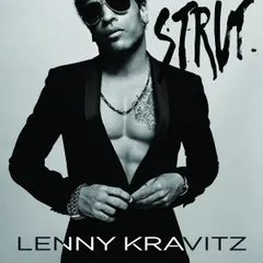 【激レア 美品】レニークラヴィッツ直筆サイン 2026年最新】lenny kravitz strutの人気アイテム - メルカリ