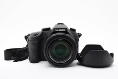2026年最新】LUMIX FZ100の人気アイテム - メルカリ