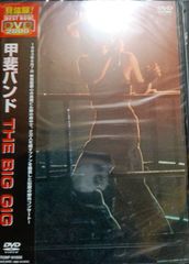 DVD 甲斐バンド THE BIG GIG 期間限定盤 甲斐よしひろ - メルカリ