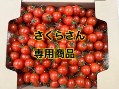 さくらさん専用