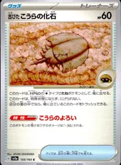 155/165/SV2A/B/C 古びたこうらの化石のサムネイル