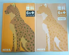 四谷大塚 予習シリーズ 理科 6年下 有名校対策(440618-2) 2023 014S2B