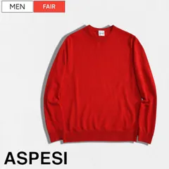【定価38,500円(税込)】ASPESI  -アスペジ- 極上の着心地がクセになる！最高級ウールで雰囲気抜群！鮮やかなカラーリングが光る クルーネックニット ウールニット セーター ラナウール ASPESIRED メンズのサムネイル