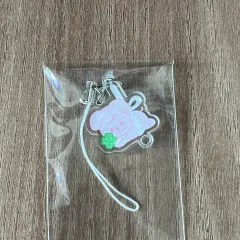 Stray Kids(ストレイキッズ・スキズ・SKZ) ファンミーティング 4/4 初回版 PuppyM パピーム キーホルダー 出品