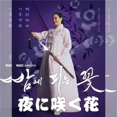 夜に咲く花 韓国ドラマ DVD 日本語字幕 ノーカット 全12話収録 [並行輸入品] 出演：イ・ハニ／イ・ジョンウォン 送料無料