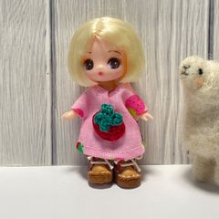 ハッピードール♡イーマリーちゃん アウトフィットセット - メルカリ