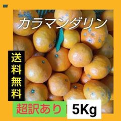 訳あり国産レモン 3-3.5Kg 大小混合 送料無料 和歌山県 - メルカリ