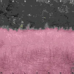 RSD2026 - TESTSET / ALL HAZE (Pink Color Vinyl) [LP]のサムネイル