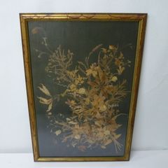 堀 文子、冬の華、新品額装付、画集画、状態良好、年代物 堀 文子、冬の華、新品額装付、画集画、状態良好、年代物 - メルカリ