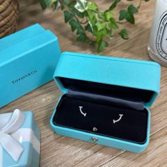 Tiffany & Co.ダイヤモンドソリティア一粒プラチナピアス計0.36ct Tiffany & Co.ダイヤモンドソリティア一粒プラチナピアス計0.36ct
