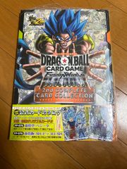 PSA10 キクコ SR HR 連番 PSA10鑑定済〕キクコ【SR】{081/070}