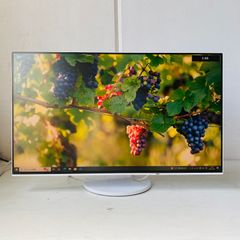 EIZO CG247 24.1型液晶モニターIPS WUXGA 使用時間531h - メルカリ