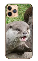 Galaxy S26+ SC-52G SCG38 ケース カバー ギャラクシー S26プラス スマホケース ハードケース カワウソ コツメカワウソ かわうそ 小動物 動物 可愛い かわいい 写真 カラー04