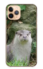 Galaxy S26+ SC-52G SCG38 ケース カバー ギャラクシー S26プラス スマホケース ハードケース カワウソ コツメカワウソ かわうそ 小動物 動物 可愛い かわいい 写真 カラー05