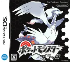 NDS ポケットモンスター ブラック