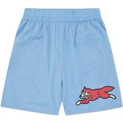 Supreme Spitfire Mesh Short Light Blue - メルカリ